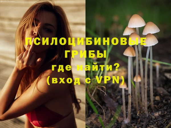 эйфоретик Карталы