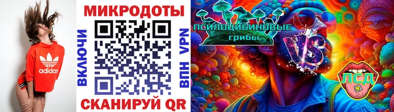 Купить  Большой Камень  Псилоцибиновые грибы мухоморы 